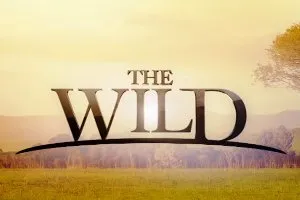 The end of “The Wild”